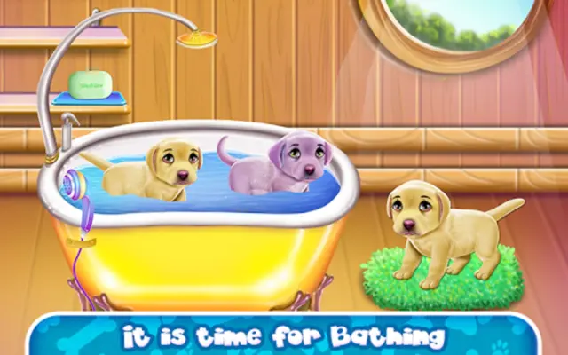 Labrador Quadruplets Newborn Caring android App screenshot 3