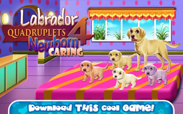 Labrador Quadruplets Newborn Caring android App screenshot 4